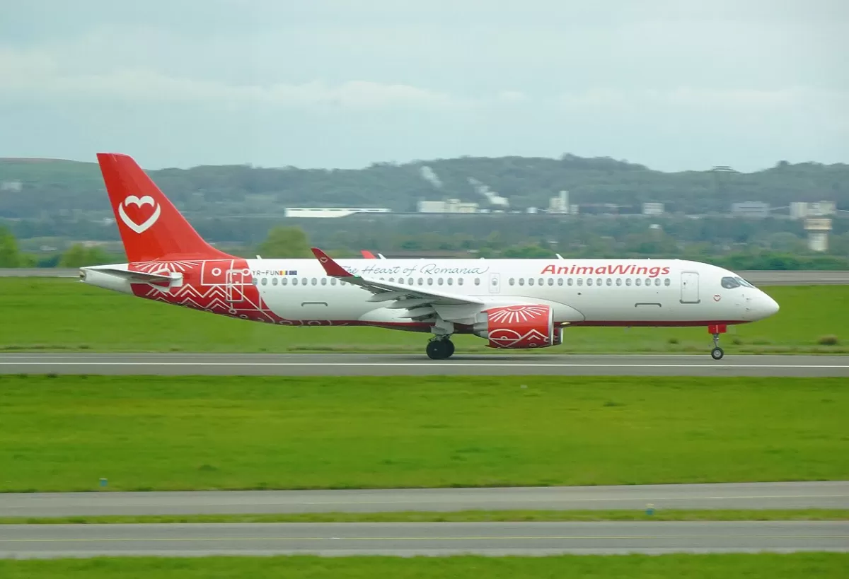 Flugzeug der Animawings